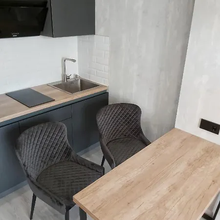 Люкс Апартаменты Gray Pearl На Подолье Vinnytsia Exterior photo