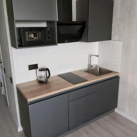 Люкс Апартаменты Gray Pearl На Подолье Vinnytsia Exterior photo