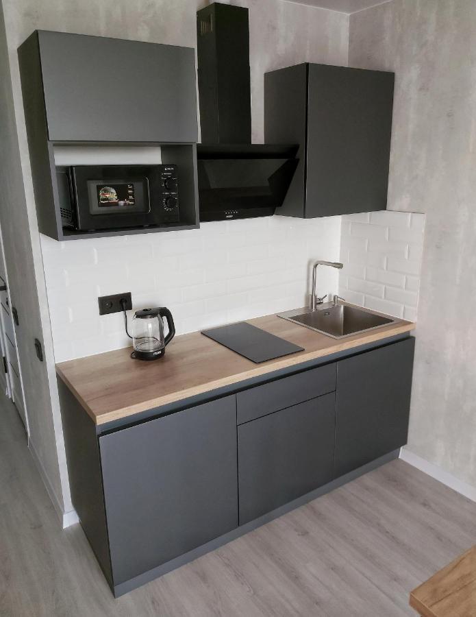 люкс Gray Pearl на подолье דירה